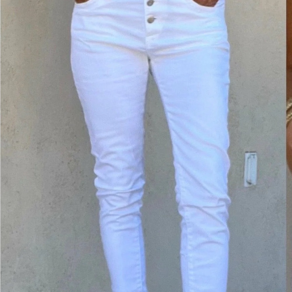 BEVY FLOG AVIV CROPPED BUTTON FLY PANTS